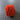 100% New Zealand Wool Macrame & Weaving Yarn - Red Orange - 4oz Cake
