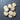 Set of Wooden Poinsettias